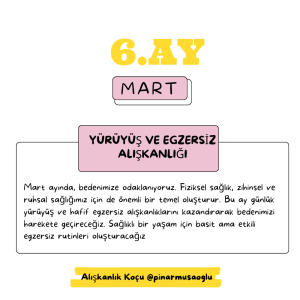 Yürüyüş ve Egzersiz Alışkanlığı- MART AYI KATILIMI (Kopya)
